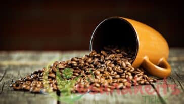 Coffee beans and coffee mug.