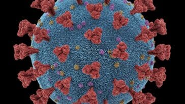 Coronavirus-Atmungsinfektionen Viren Mutations-Clipping-Pfad