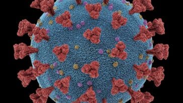 Coronavirus-Atmungsinfektionen Viren Mutations-Clipping-Pfad