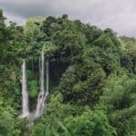Wasserfall in einem tropischen Regenwald