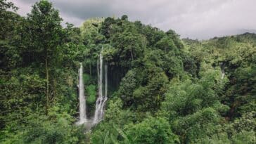 Wasserfall in einem tropischen Regenwald