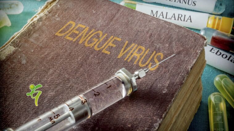 Welt Malaria Tag