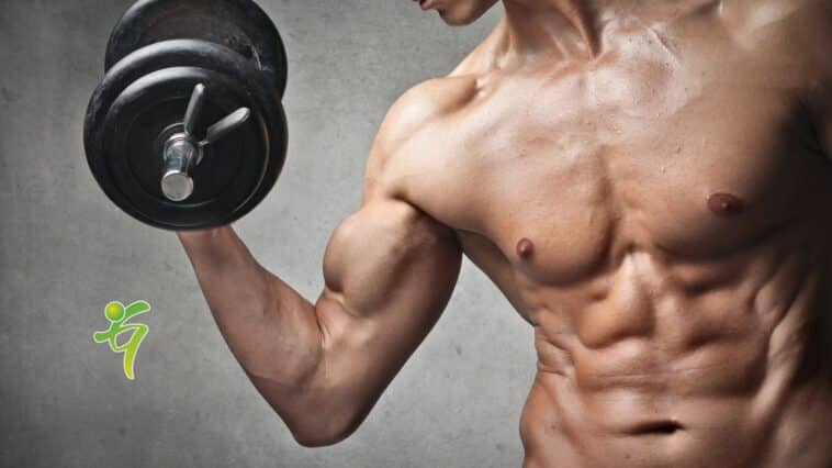 Dies ist eine der besten Methoden, um Muskeln aufzubauen. Krafttraining beinhaltet das Heben von Gewichten und kann dazu beitragen, Ihre Muskeln zu stärken und zu definieren.